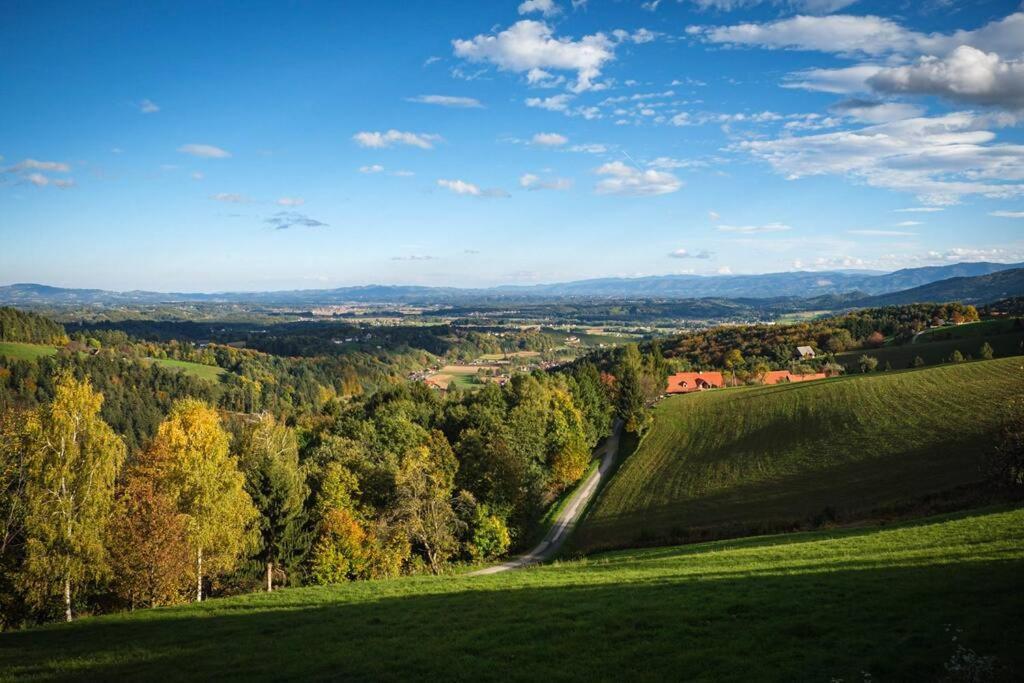 Chalet-Suedsteiermark - Traumhafte Aussicht, Infinity Pool, Privatsphaere, Klima Und De-Luxe Ausstattung Schwanberg Εξωτερικό φωτογραφία